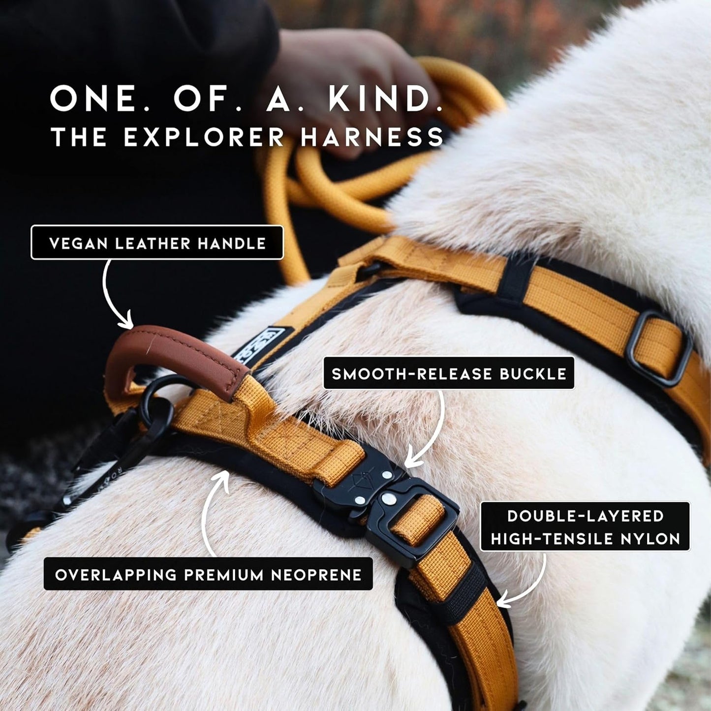 MADE TO ROAM Premium Explorer Harness - Y-Shaped Dog Harness with Adjustable Durable Nylon, Soft Padding, Metal Buckles and Leather Handle for Small, Medium, Large Dogs (Alaska Daybreak, Size 1)