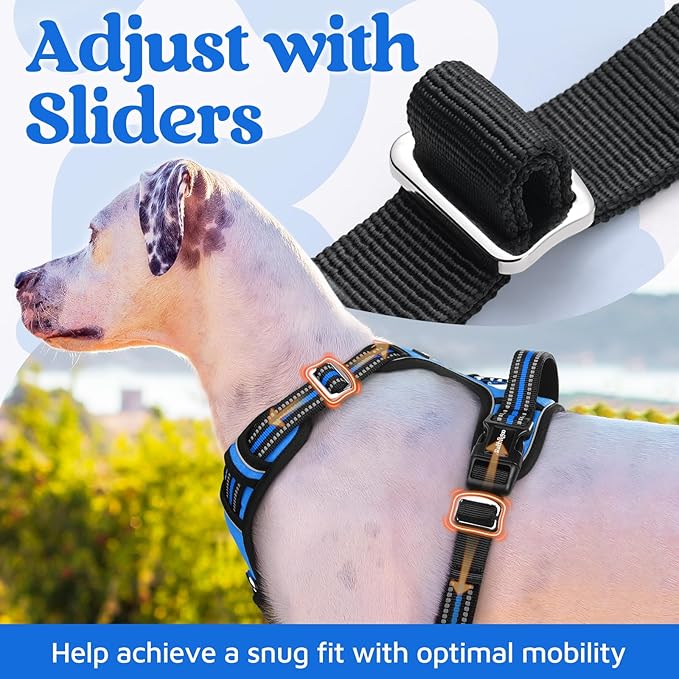 rabbitgoo Dog Harness Small Sized, No Pull Dog Vest with 3 Buckles, Adjustable Soft Padded Pet Harness with Easy Control Handle and Reflective Strips, Blue, S