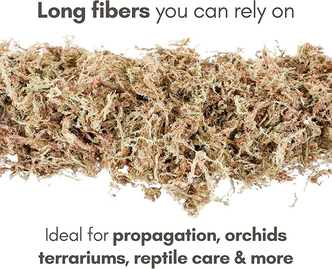 Mossify Premium Sphagnum Moss for Plants 150g, 5.3 Oz - Long Fiber Moss for Plants Indoor, Orchids, Terrariums, Gardening, Reptiles – Moisture Plant Moss for Propagation, Soil & Habitat Bedding
