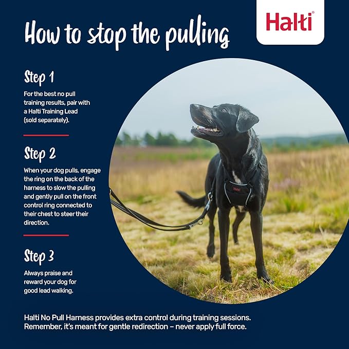 Halti No Pull Harness - Stop Your Dog Pulling on The Leash. Adjustable, Lightweight and Easy to Use. Reflective Dog Training Harness for Toy and Small Dogs (Size XS, Forest Green)