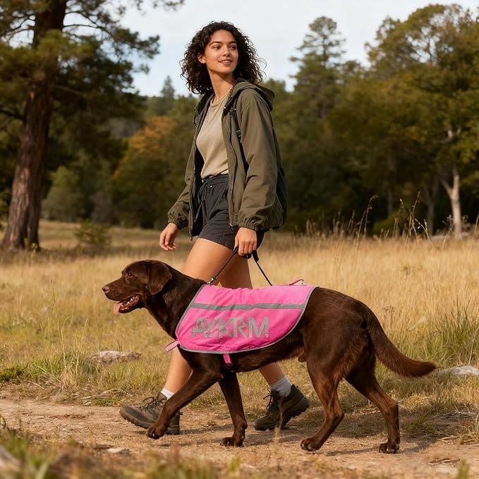 Pink Reflective Dog Vest for Small Breeds,High Visibility Dog Safety Vest Harness with Removable Bell Keep Safe from Hunting, Training & Cars Accidents