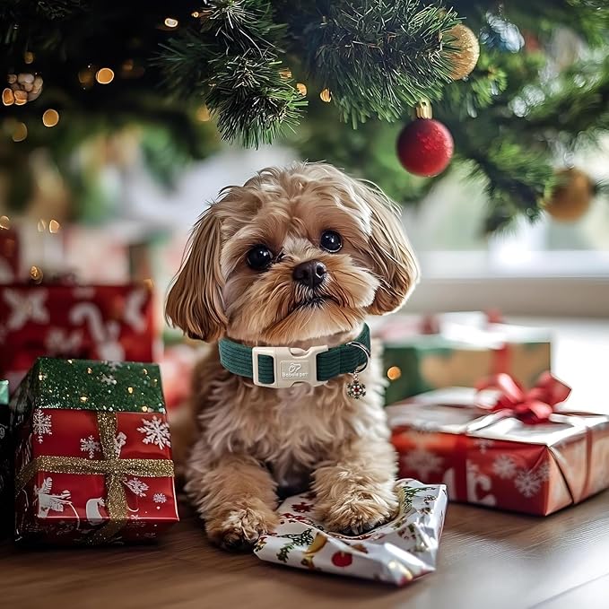Cute Corduroy Dog Collar - Forest Green Adjustable Dog Collars for X-Small Dogs 4-10lbs, Fade-Proof with Secure Snap & Little Charm, Christmas Birthday Gift, XS