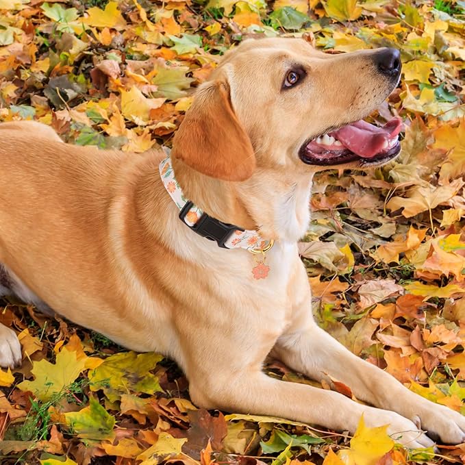 Cotton Handmade Dog Collar Cute and Distinctive Patterns Pink Sunflower with Pendant for Girl Boy Dogs Collars M