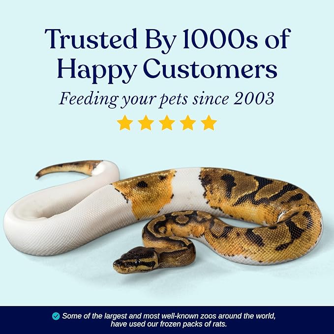 MiceDirect 25 Frozen Rat Fuzzies Feeders Snake Food for Adult Corn Snakes Ball Pythons (2-2.5 in)(225 Grams Min)(25 Count)