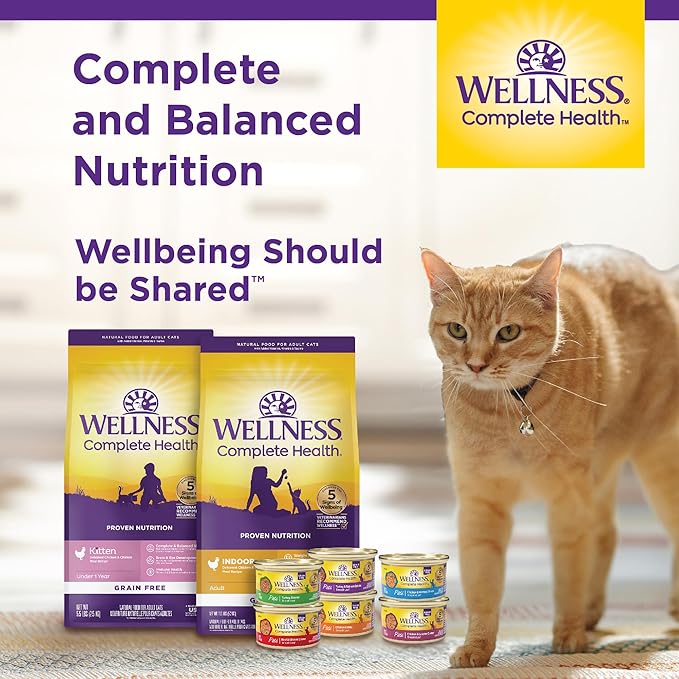 Wellness Complete Health Pate Adult Wet Cat Food, Natural, Protein-Rich, Grain Free, 3 Ounce, 24 Pack, (Chicken)