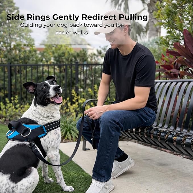 ShawnCo Essential Dog Harness, No-Pull Pet Vest with 3 Leash Clips, No Choke, Reflective, Adjustable and Padded, for Easy Walking and Training for Small, Medium and Large Dogs (ICY Lilac, XS)