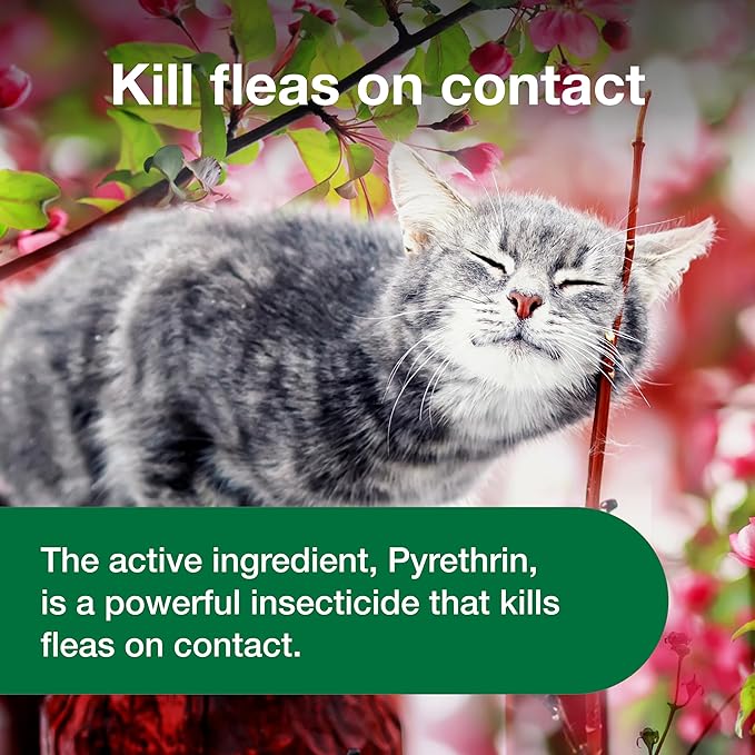 Advantage Cat Flea Treatment Spray | Kills Fleas & Ticks | Cat Flea Spray | 8 oz.
