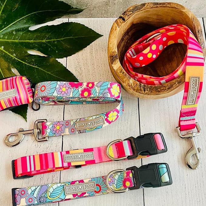 Lucky Love Dog - Easy Click Buckle Dog Collar with Leash Set Combo, Durable & Comfortable for Male & Female Dogs, Pet Collar for Medium Dogs, Secure Fit - Molly Combo, Medium