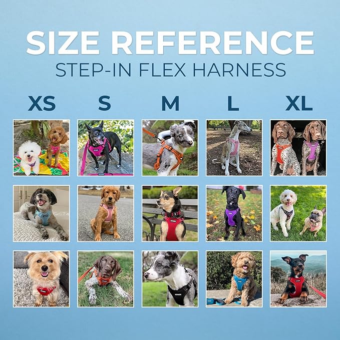 Best Pet Supplies Voyager Adjustable Step-in Flex Breathable Mesh Dog Harness for Small Medium Large Dogs Leash Set (Turquoise), XS