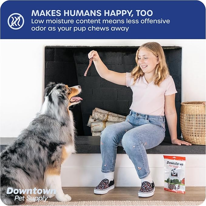Downtown Pet Supply USA Sourced Bully Sticks for Dogs - Grass-fed Beef Chews, Low-Odor & Rawhide-Free, Long Lasting Dog Treats - Healthy, Safe & Delicious Chews (6" 10 Pack)