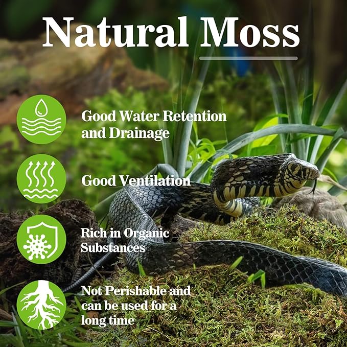 Sukh Sphagnum Moss for Reptiles -Terrarium Moss for Reptiles Peat Moss for Reptiles Habitat Bedding Moss for Snakes Turtle Frog Gecko and Other Reptiles Substrate (11.2, Ounces)