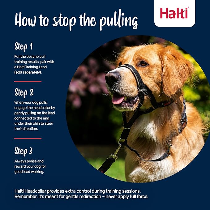 Halti Headcollar - Stop Your Dog Pulling on the Leash. Adjustable, Reflective and Lightweight, with Padded Nose Band. Dog Training Anti-Pull Collar for Small Dogs (Size 0, Black)