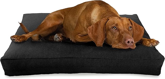 Large - 42 x 28 x 5 - Black Premium Organic Hemp Dog Bed - Organic Latex Fill - Removeable Cover