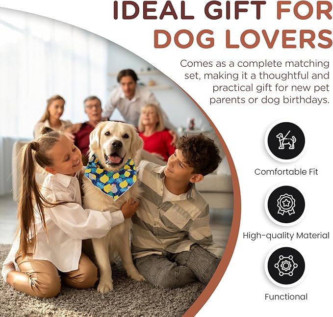 No Pull Harness and Leash Set - 6-in-1 Adjustable Vest Harness and Collars for Medium and Large Dogs. (Lemon, Small)