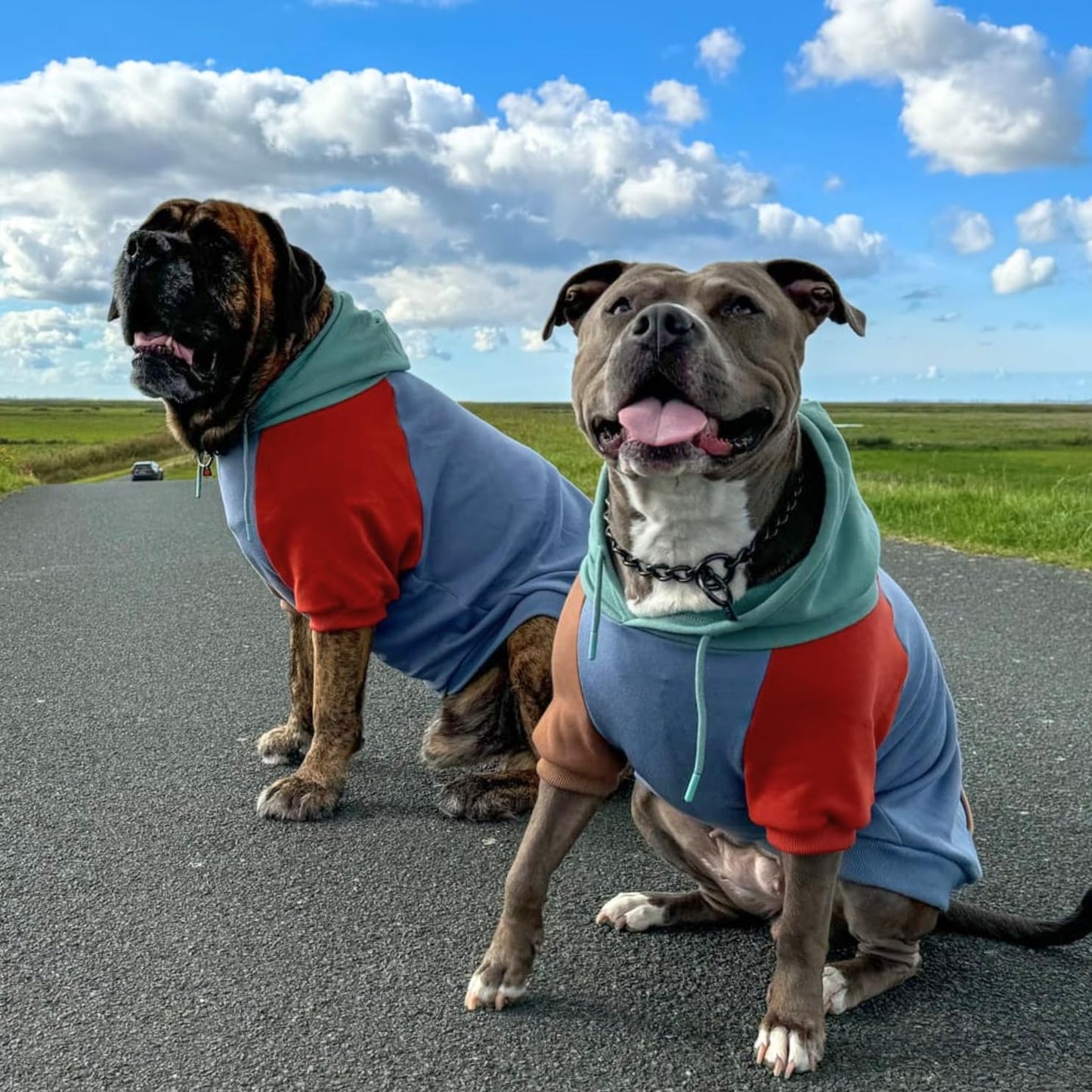 Spark Paws Dog Hoodie – Premium Dog Sweater for Small, Medium, and Large Dogs | Warm Outfits for French Bulldogs, Pitbull, Puppy, Winter Jacket Alternative - Alpine - 3XL