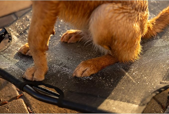 Momarsh Home Cot Breeze Elevated Pet Bed | Non Slip Feet with Breathable Mesh | Portable Dog Cot | Hot Spot Reducing | All in One Large Dog Bed for Indoor and Outdoor Use
