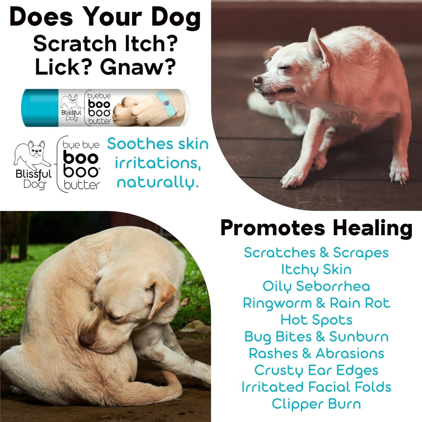 The Blissful Dog Weimaraner Boo Boo Butter, 16 oz.