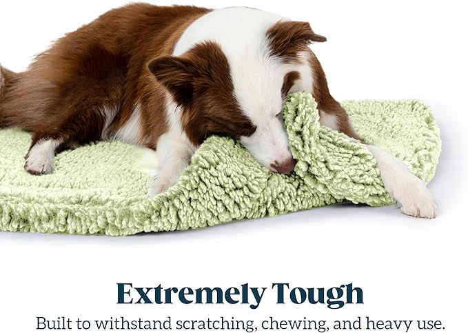 Stoutwool Indestructible Dog Bed - Fluffy Chew Proof Dog Crate Pad - Tough Kennel Pad for Aggressive Chewers - Ideal for Extra Small Breeds & Fits 22-Inch Crate - 21"x12", Gleam