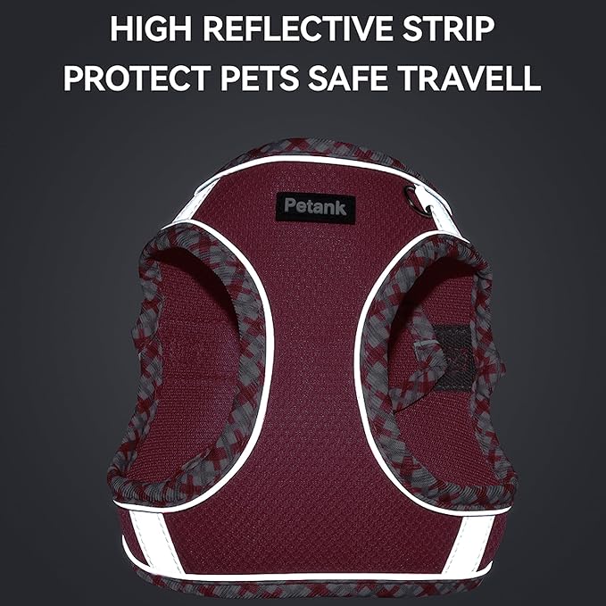 Petank Dog Harness for Small Medium Dogs No Pull, Puppy Harness and Leash Set for Walking, Running, Training, Small Dog Harness, Medium Dog Harness (Grey, L)