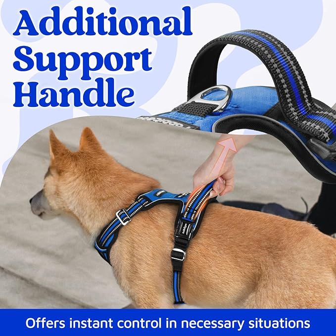rabbitgoo Dog Harness for Large Dogs, No Pull Pet Vest with 3 Buckles, Adjustable Soft Padded Pet Harness with Easy Control Handle and Reflective Strips, Royal Blue, L