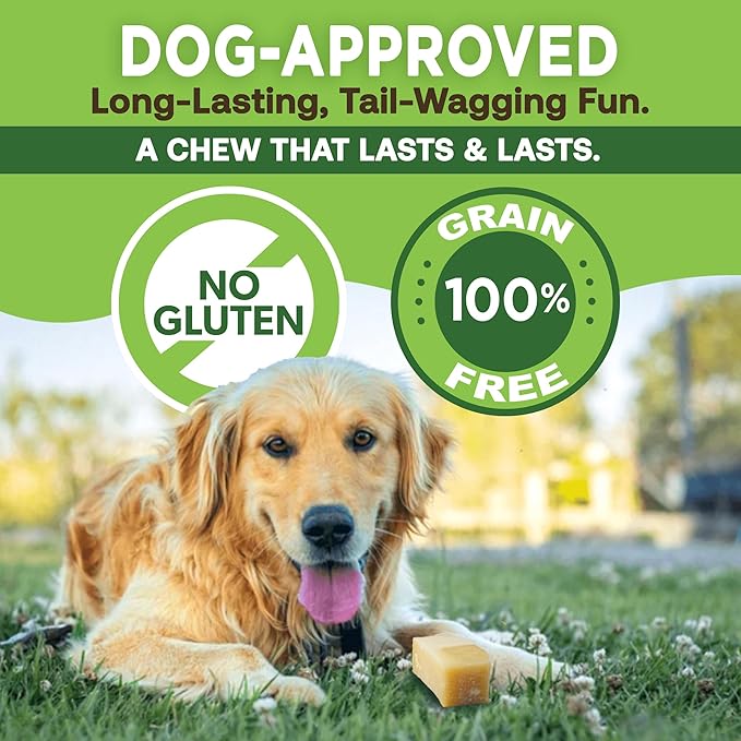 EcoKind Premium Gold Monster Yak Cheese Himalayan Dog Chew, Dog Treats Large Breed, All Natural, High Protein, for Aggressive Chewers, XL - 15+ Chews (5 lbs)