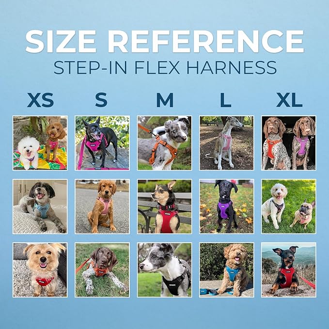 Best Pet Supplies Voyager Adjustable Step-in Flex Breathable Mesh Dog Harness for Small Medium Large Dogs Leash Set (Red), XL