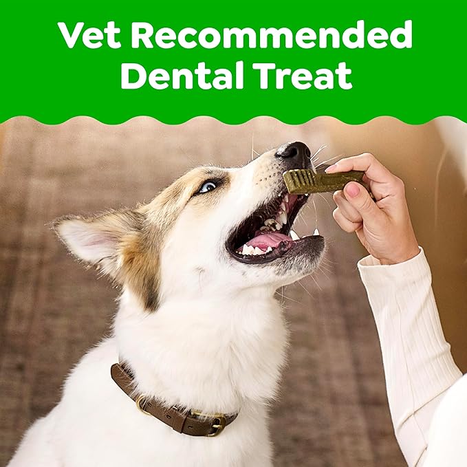 Greenies Veterinarian-Recommended Adult Natural Dental Dog Treats Petite Size, Blueberry Flavor, 12 oz. Pack, 20 Count
