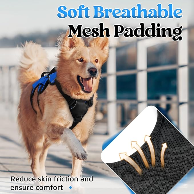 rabbitgoo Escape Proof Dog Harness, Soft Padded Full Body Pet Harness, Reflective Adjustable No Pull Vest with Lift Handle and Leash Clip for Large Dogs Walking Hiking Training, L, Blue