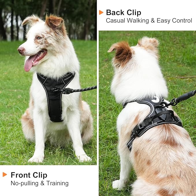 Taglory Light Up Dog Harness, Rechargeable No Pull Dog Vest with 3 Lightning Modes, Reflective Dog Harness with 2 Leash Clips & 4 Adjustable Slide Strips for Large Dogs, Black-Blue, L