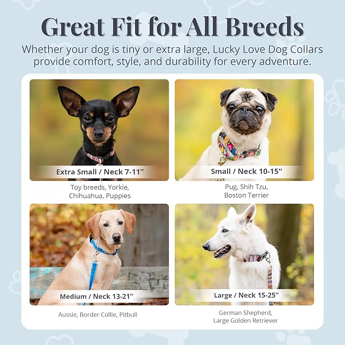 Lucky Love Dog - Adjustable Dog Collar with Easy Click Buckle for Large Dogs, Durable, & Comfortable for Male & Female Dogs, Pet Collar for Puppies & Adult Ones - Penny, Large