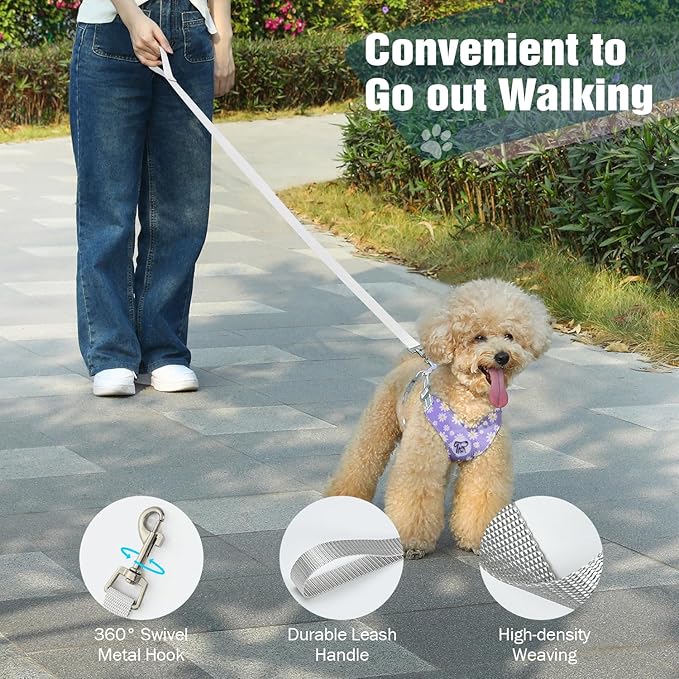 Pawaboo Small Dog Harness and Leash Set, Puppy Harness X-Frame No Pull No Choke, Dog Vest Harness Adjustable for Small Medium Sized Dogs,Soft Breathable Pet Harness for Walking Outing, S, Purple Daisy