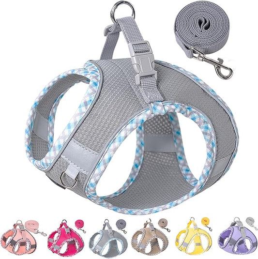 Petank Dog Harness for Small Medium Dogs No Pull, Puppy Harness and Leash Set for Walking, Running, Training, Small Dog Harness, Medium Dog Harness (Grey, XS)