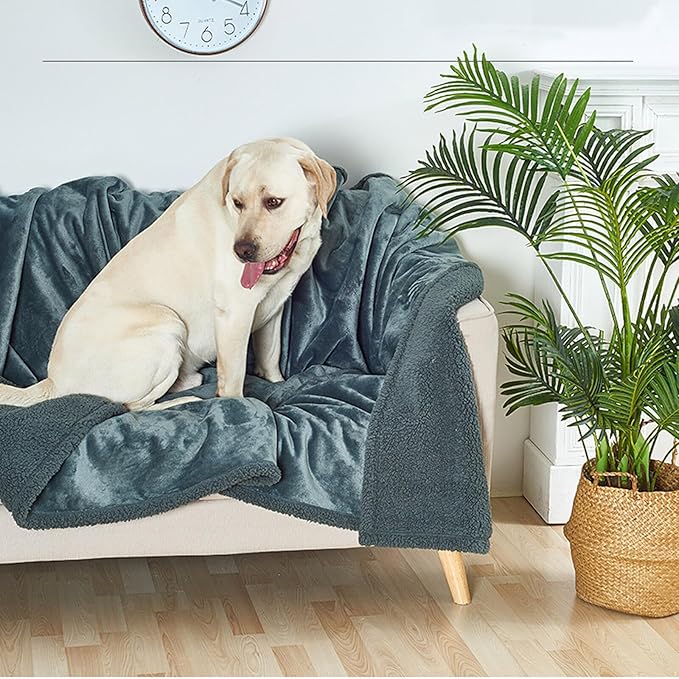Waterproof Pet Blanket, Lovers Blanket Reversible Plush Sherpa Fleece Furniture Protector for Sofa, Bed & Couch, Liquid & Pee Proof Dog Blanket Cover for Dogs Cats Lovers Couples (Gray, L(57"x65"))