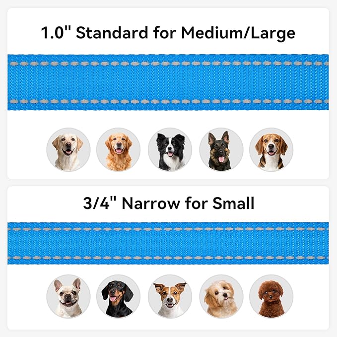 Joytale Dog Leash, 4 FT Double-Sided Reflective, Padded Handle Nylon Heavy Duty Leashes for Medium & Large Dogs Walking, SkyBlue