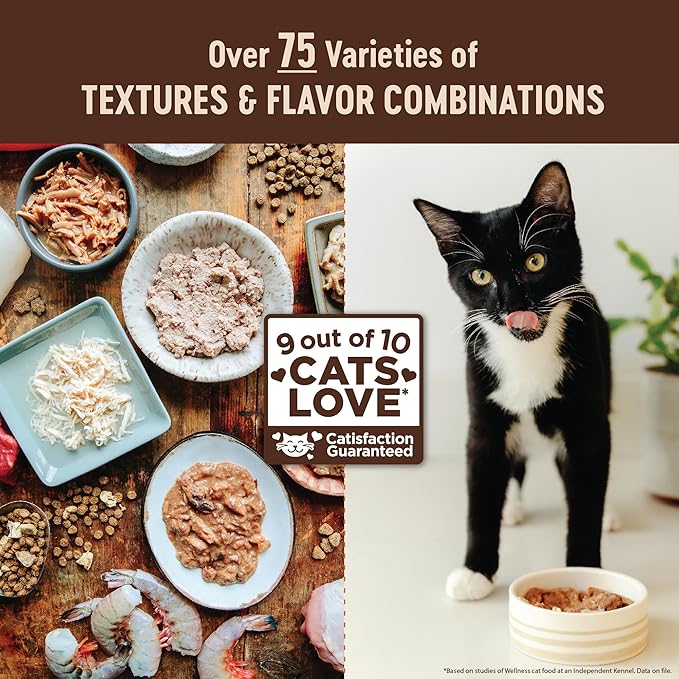 Wellness CORE+ Indoor Pate Adult Wet Cat Food, Natural, Protein-Rich, Grain Free, 3 Ounce, 12 Pack (Chicken & Chicken Liver)