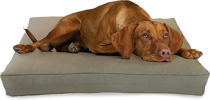 XX-Large - 54 x 36 x 6 - Natural Premium Organic Hemp Dog Bed - Organic Latex Fill - Removeable Cover