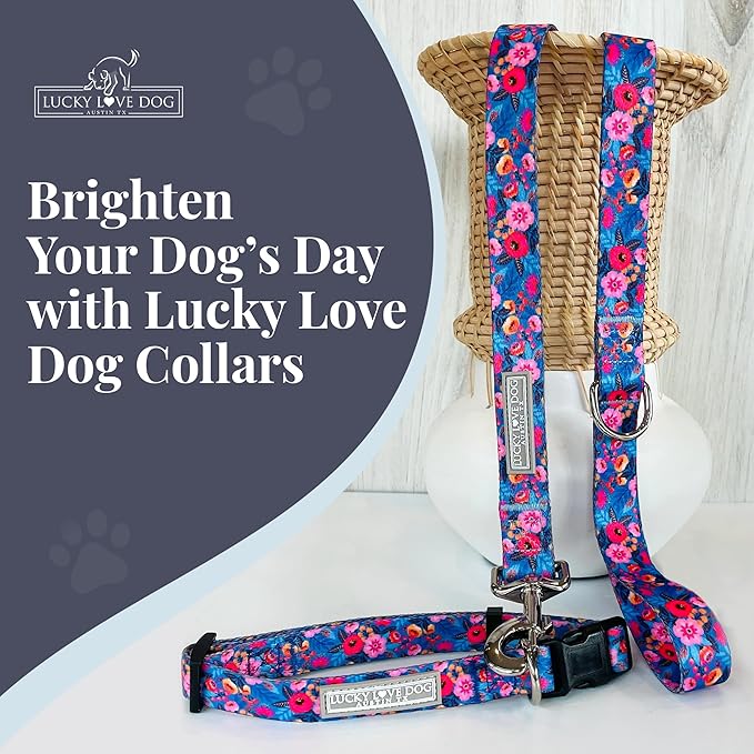 Lucky Love Dog - Adjustable Dog Collar with Easy Click Buckle for Small Dogs, Durable, & Comfortable Collar for Male & Female Dogs, Pet Collar for Puppies & Adult Dogs - Zuzu, XS