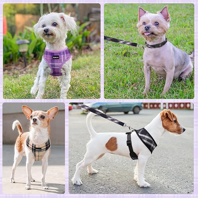 SCENEREAL No Pull Small Dog Harness Collar and Leash Set, Soft Mesh Plaid Puppy Harnesses for Fall Winter, No Chock Pet Vest for Outdoor Walking Training and Running, Beige S