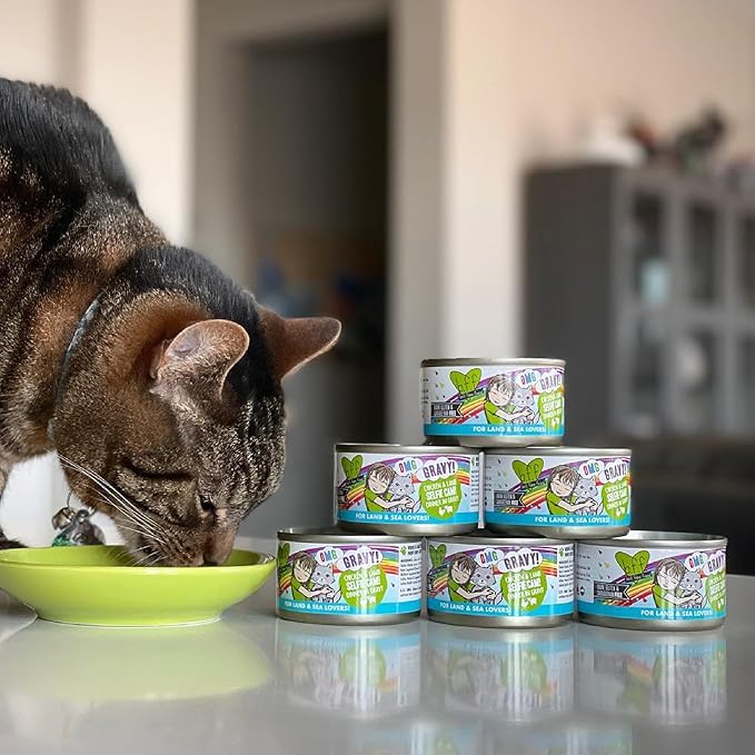 Weruva B.F.F. OMG - Best Feline Friend Oh My Gravy!, QT Patootie! with Chicken & Turkey in Gravy Cat Food, 5.5oz Can (Pack of 8)