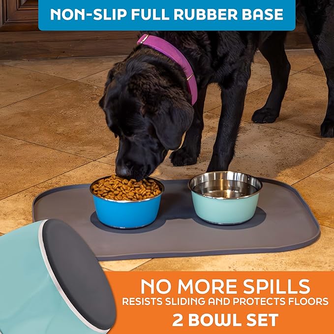 Master Pet Supply Stainless Steel Dog Bowls Set of 2 (32 Oz Each) with Non-Slip Rubber Base - Aqua Sky - Basic Dog Food Bowl Water & Food Bowls for Small Medium Large Dogs & Cats, Metal Dish