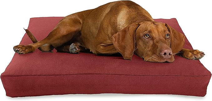 X-Small -24 x 18 x 4 - Cranberry Premium Organic Hemp Dog Bed - Organic Latex Fill - Removeable Cover