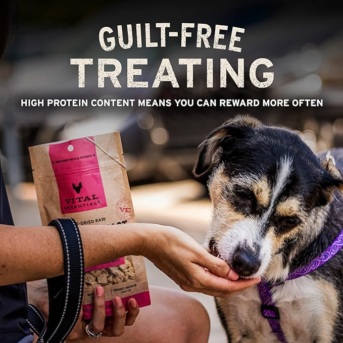 Vital Essentials Single Ingredient Minnows Dog Treats, 1 oz | Freeze-Dried Raw | Premium Quality High Protein Training Treats | Grain Free, Gluten Free, Filler Free