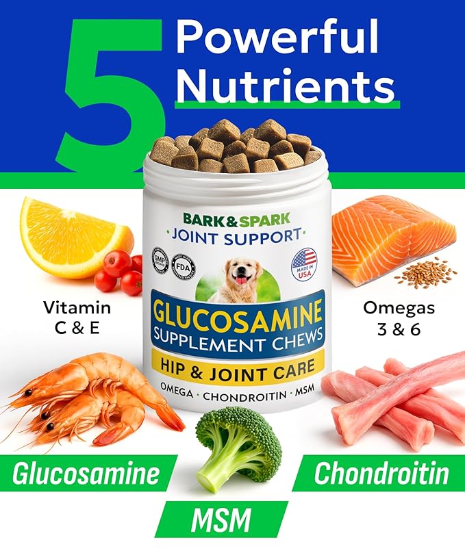 Glucosamine Chondroitin Dog Hip & Joint Supplement - Joint Pain Relief - Hip & Joint Chews for Dogs - Joint Support Large Breed - Senior Doggie Vitamin Pills Joint Health - (240 Treats - Bacon)