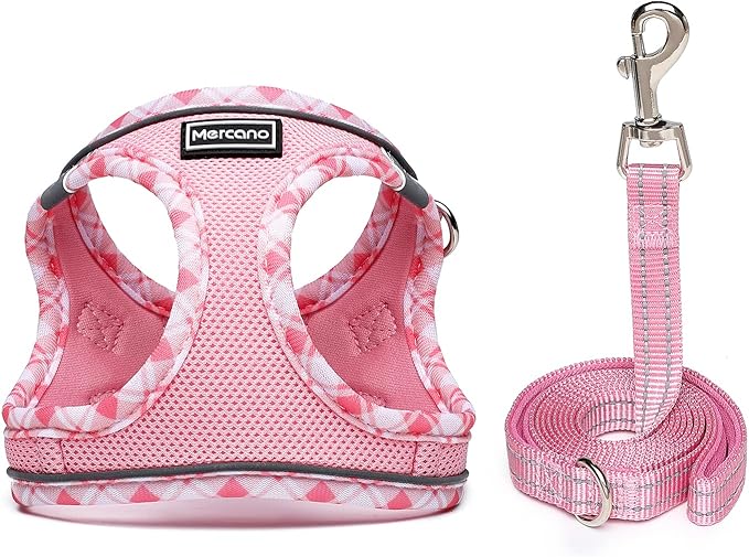 Mercano Soft Mesh Dog Harness and Leash Set, No-Chock Step-in Reflective Breathable Lightweight Easy Walk Vest Harnesses with Safety Buckle for Small Dogs, Cats (Pink, XXS)