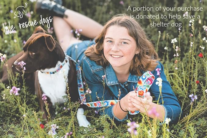 Lucky Love Dog - Easy Click Buckle Dog Collar with Leash Set Combo, Durable & Comfortable for Male & Female Dogs, Pet Collar for Small Dogs, Secure Fit - Ladybird Combo, Small