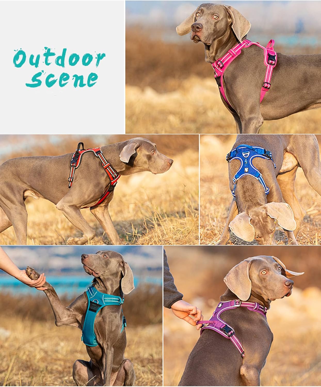 TRUE LOVE Dog Harness No Pull Nylon Reflective Pet Harness Adjustable Comfortable Control Step-in Brilliant Colors Truelove TLH56512 XL Black