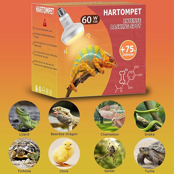 60W Intense Basking Spot Lamp – UVA Daylight Heat Bulb for Reptiles and Amphibians, Simulates Natural Sunrise and Sunset, Ideal for Bearded Dragons, Snakes, Lizards & Chicks | 2 Pack