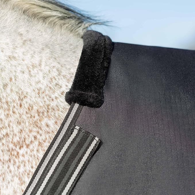 Equinavia Norse Lightweight 100g Fill Horse Rain Blanket | Waterproof Turnout Sheet - Black - 66 in - Black - 69 in