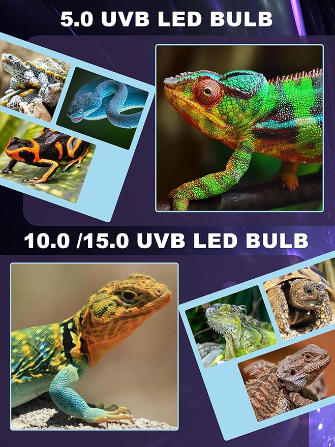 LED UVB Light for Reptiles, 10W 10.0 LED UVA UVB Lamp, Reptile UVB Bulb for Bearded Dragon Lizard Gecko Snake Turtle, Provide Sufficient UVB Exposure Tropical & Desert Reptiles