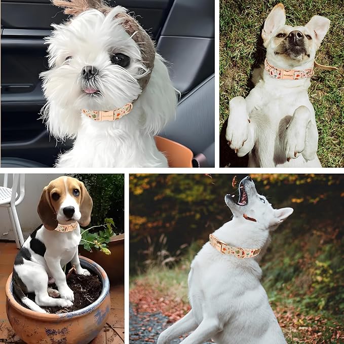 Autumn Dog Collar，Soft Cotton Handmade Pet Collar with Autumn Tea Party Design for Small Medium Large Dogs, Adjustable Collars for Fall Walks，Tea-Time Adventures & Fireside Snuggles -XS